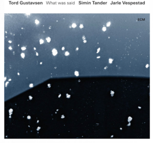 Simin Tander Vinyl Podcast Schweiz Schallplatte Plattenspieler Jazz
